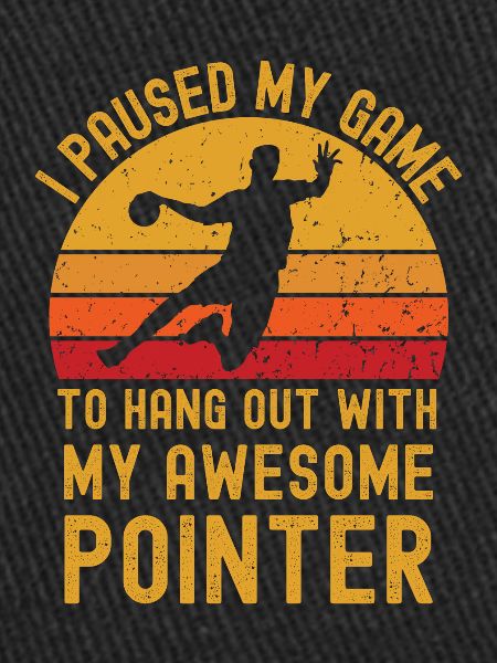 Handball and Pointer