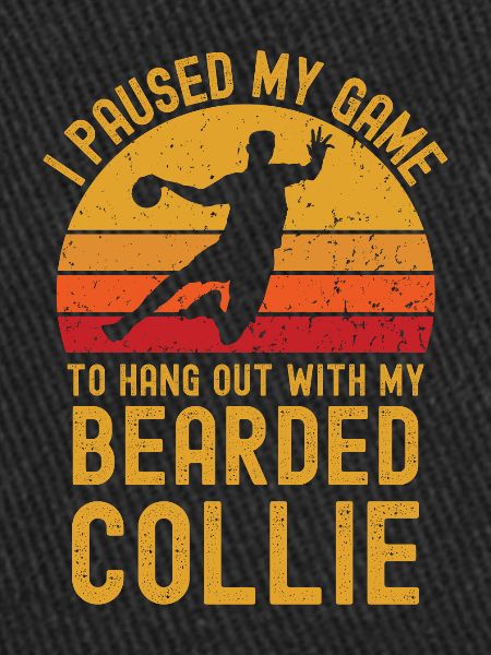 Handball et Bearded-Collie