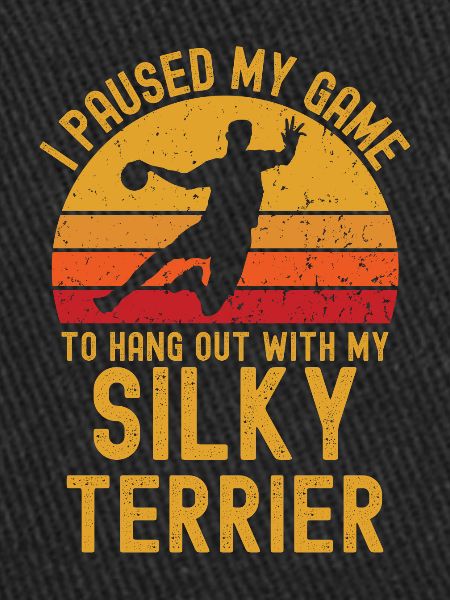 Handball et Silky-Terrier