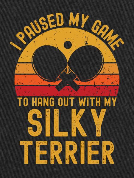 Tennis de table et Silky-Terrier