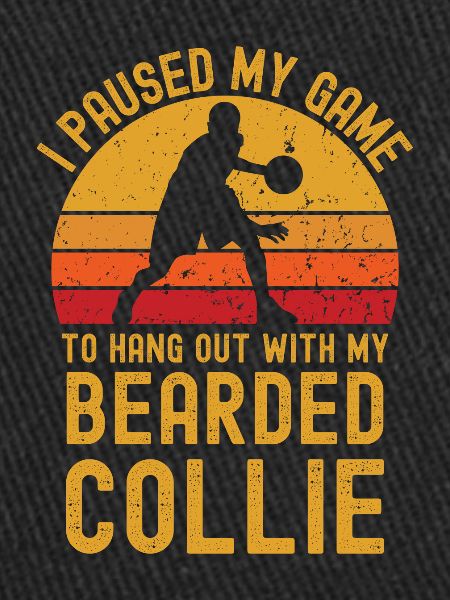 Basketball et Bearded-Collie