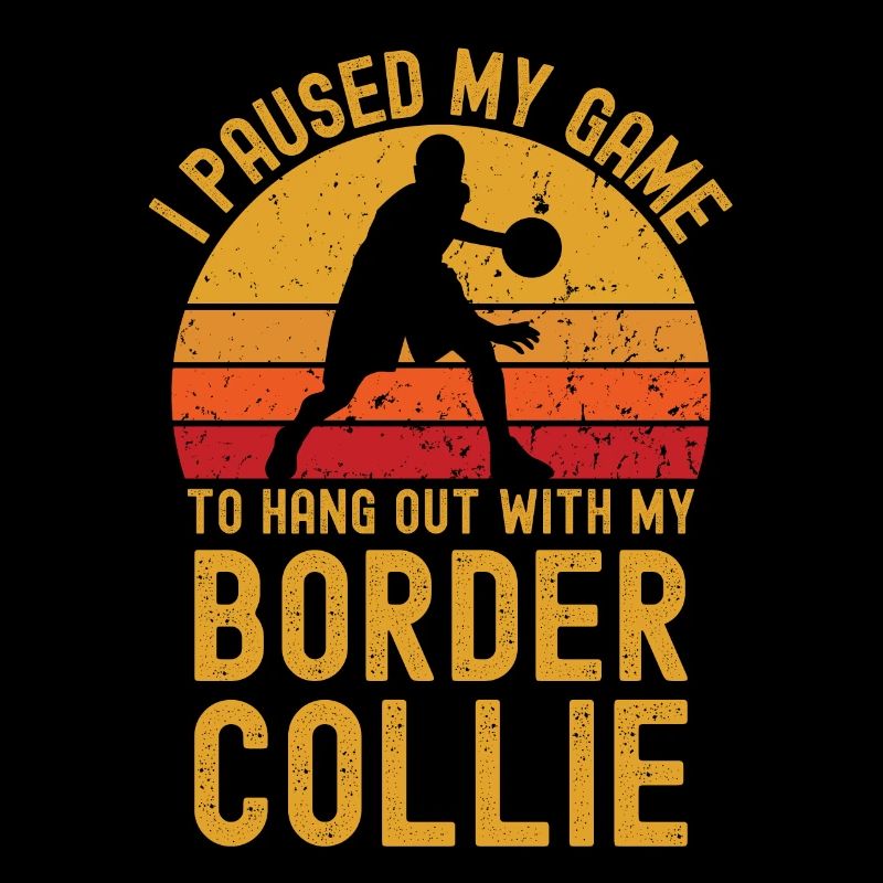 Basketball et Border Collie