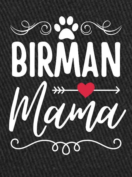 Maman chat birman
