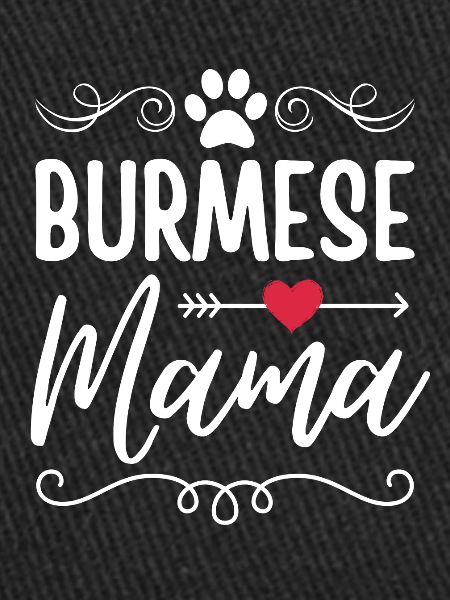 Maman de chat birman
