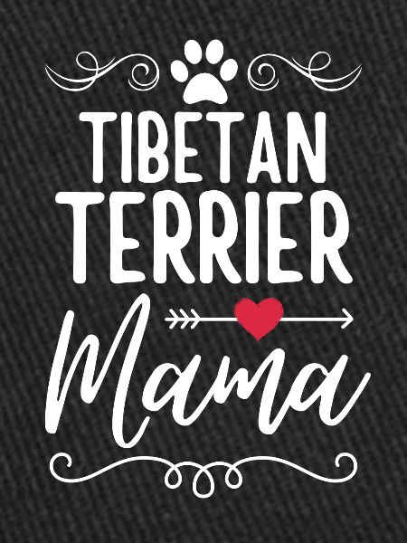 Terrier tibétain Mama