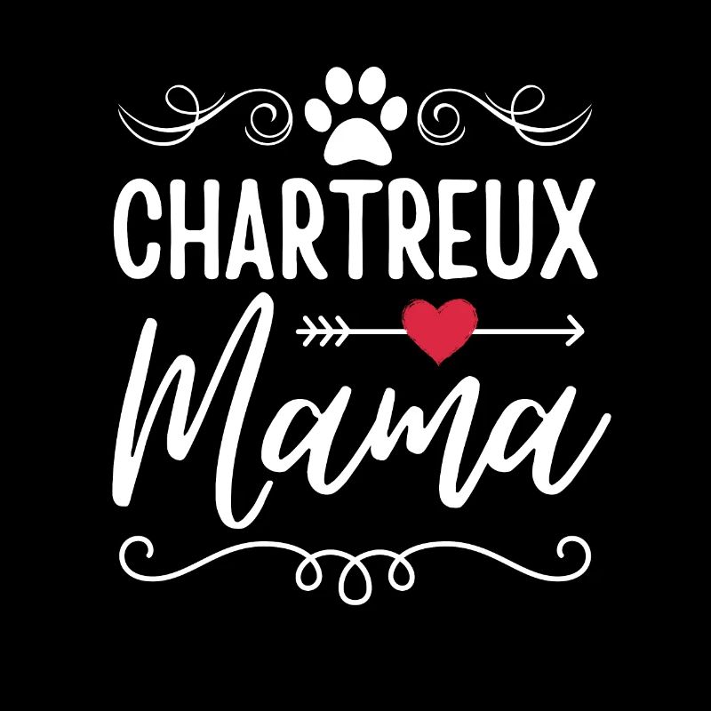 Carthusian cat Mama