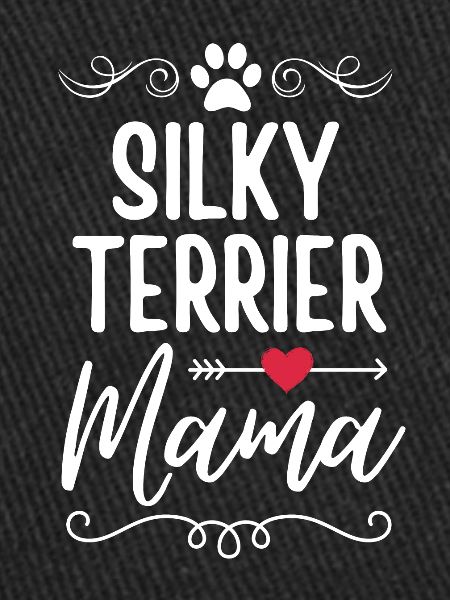 Silky Terrier Mama