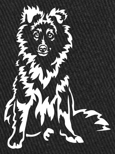 Sheltie « Édition Noire »
