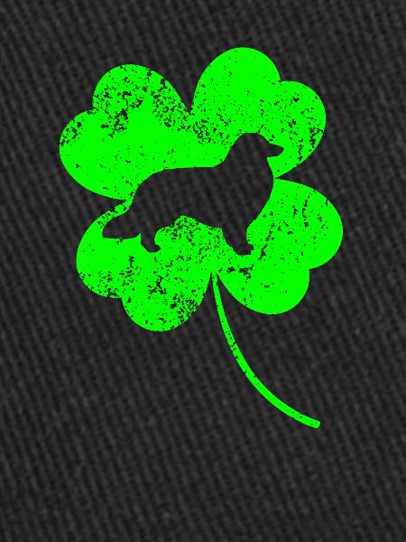 Collie St.Patrick’s day Shamrock