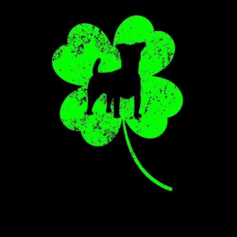 Russel-terrier Saint-Patrick Shamrock