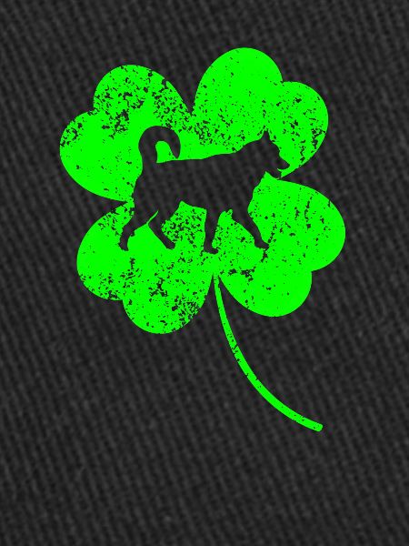 Husky St.Patrick’s day Shamrock