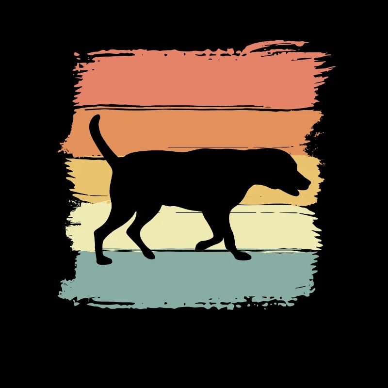 Labrador rétro