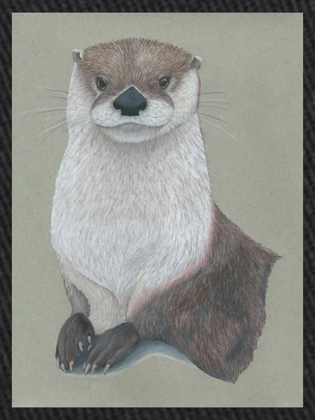 230324 Otter 3