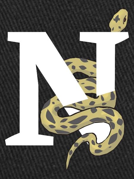 Lettre n serpent