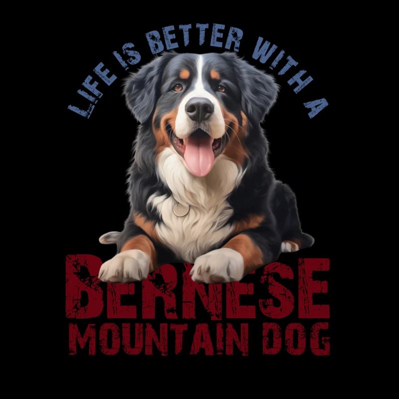 Bovaro del Bernese