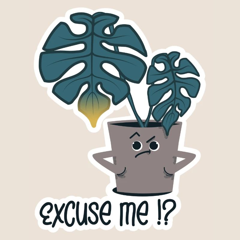 Plante - excusez-moi!?