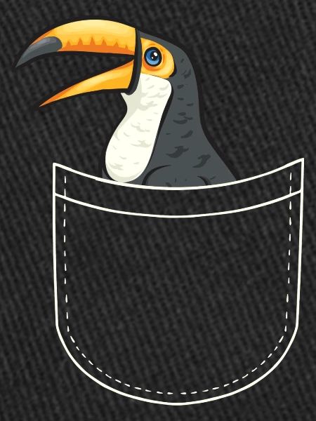 Toucan Bird Rainforest