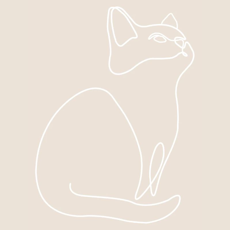 Chaton Chat Chat