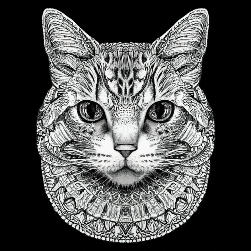 CHAT STYLISÉ MANDALA