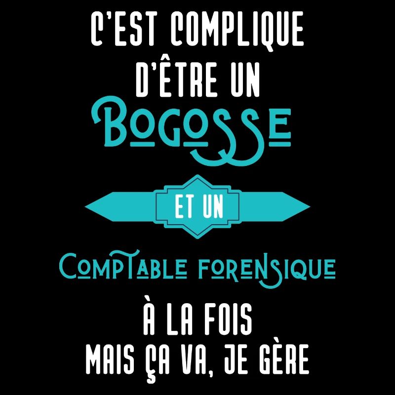 C'est compliqué d'être Bogosse Comptable