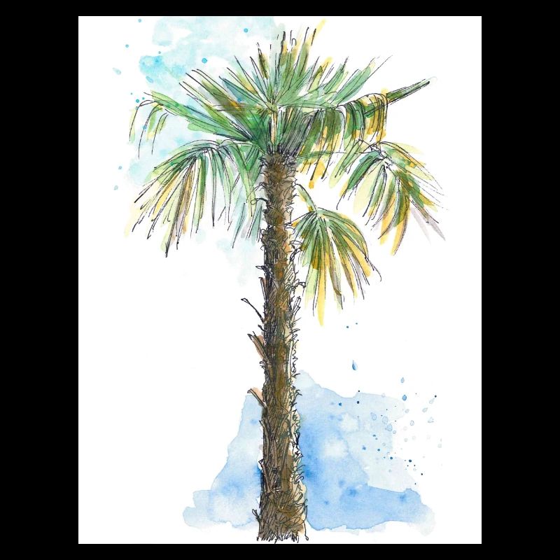 Mediterranean Palm Tree - Auarell Pen and Ink Drawing