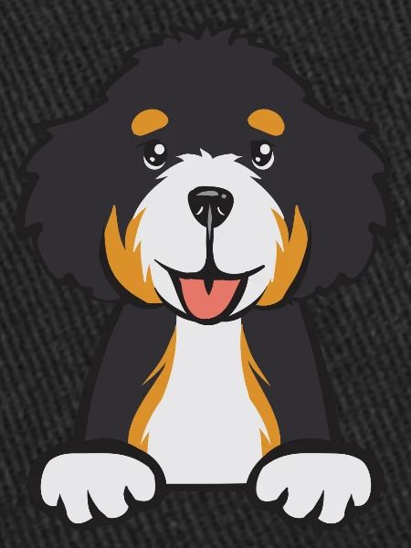 Bernedoodle Dog