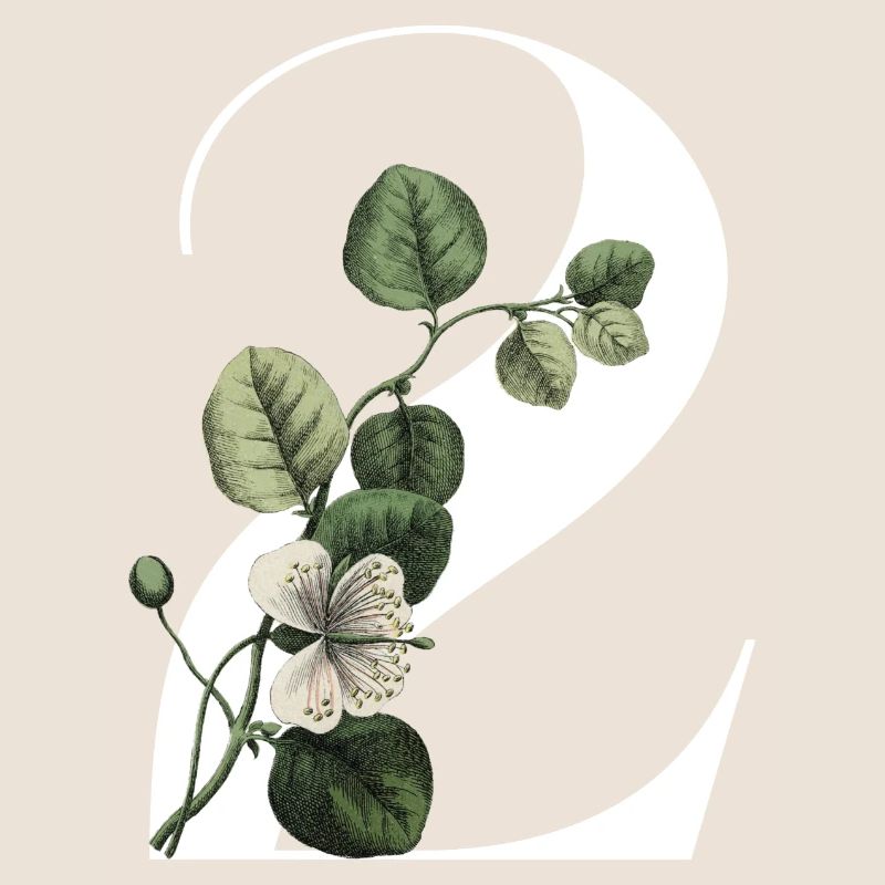 Nummer 2 Blumengrün - 2. Blumengeburtstag