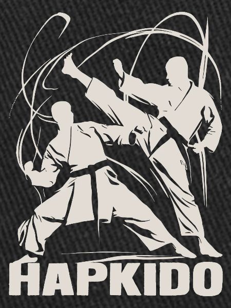 Hapkido – L’art de l’autodéfense