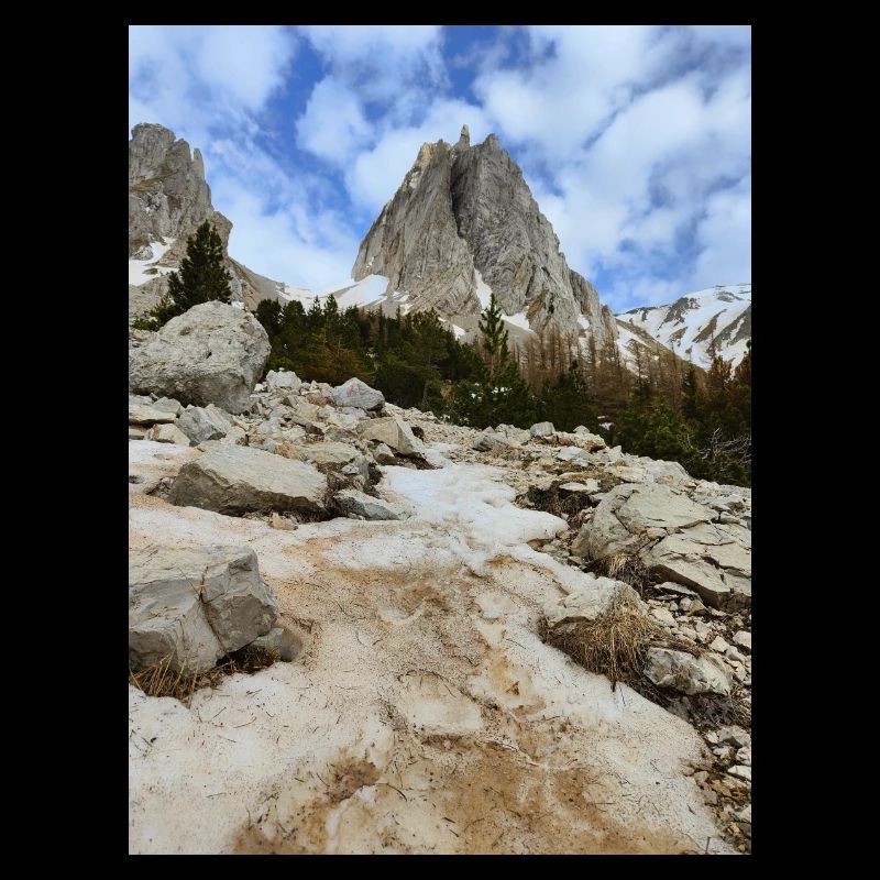 Montagnes enneigées