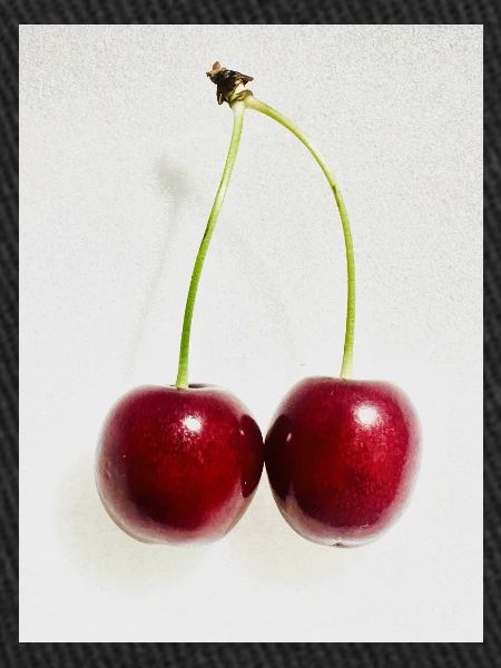 Cerise