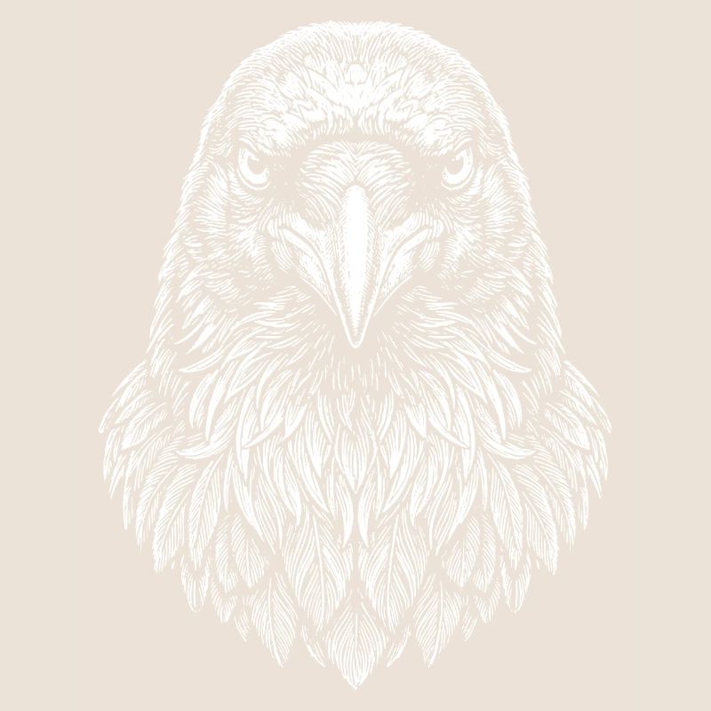 Aviator Eagle Headline Art