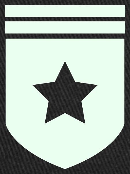 Abzeichen Stern