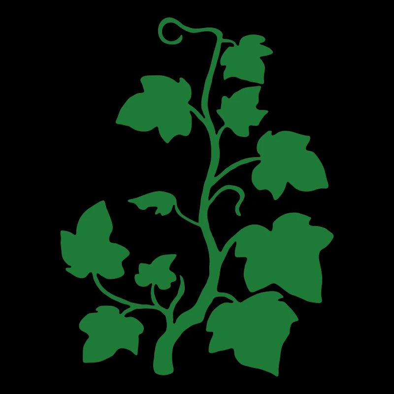 Efeu_blumen