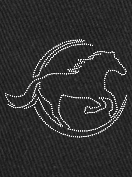Strass de cheval