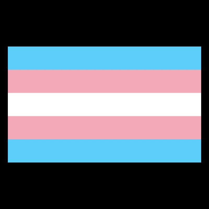 Drapeau trans