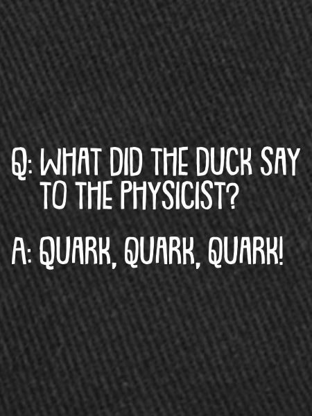 Physics Physicist