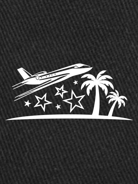 Vacances Avion Plage Palmier