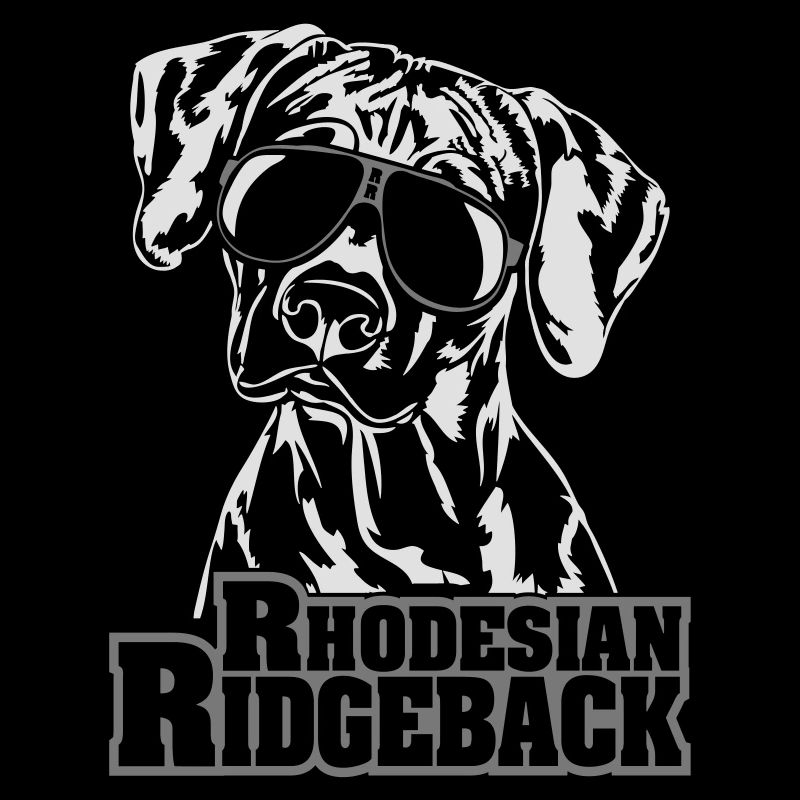 RHODESIAN RIDGEBACK cool