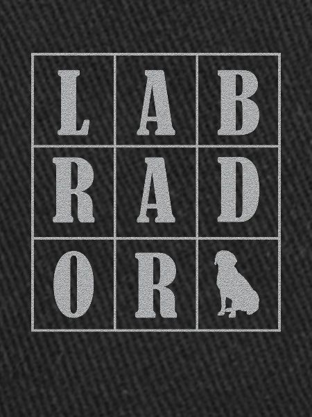 Labrador Chien Labrador