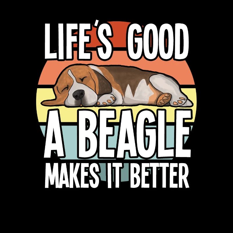 Beagle Hund lebt gut Ein Beagle macht es besser