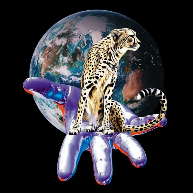cheetah