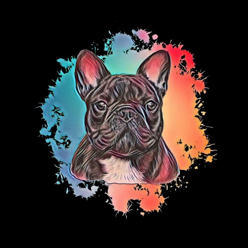 Bulldog français