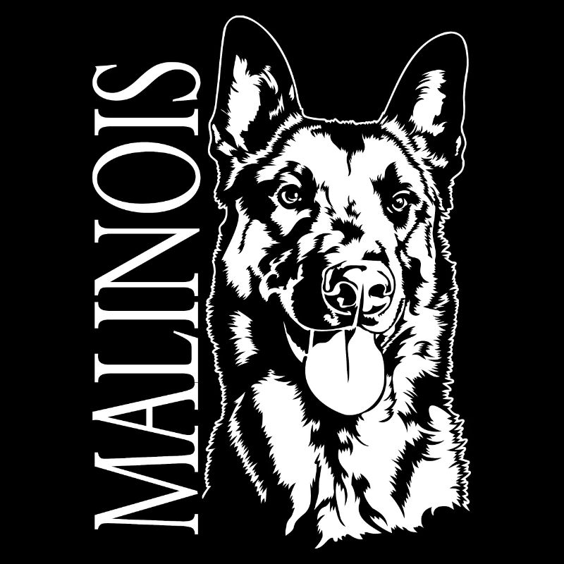 Malinois Portrait Chien Chiens Wilsigns