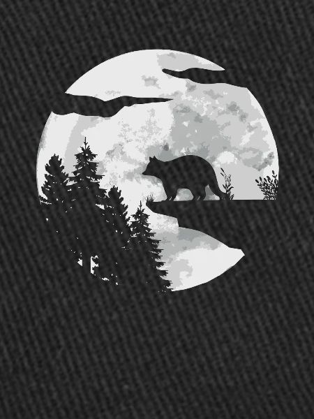 Raccoon