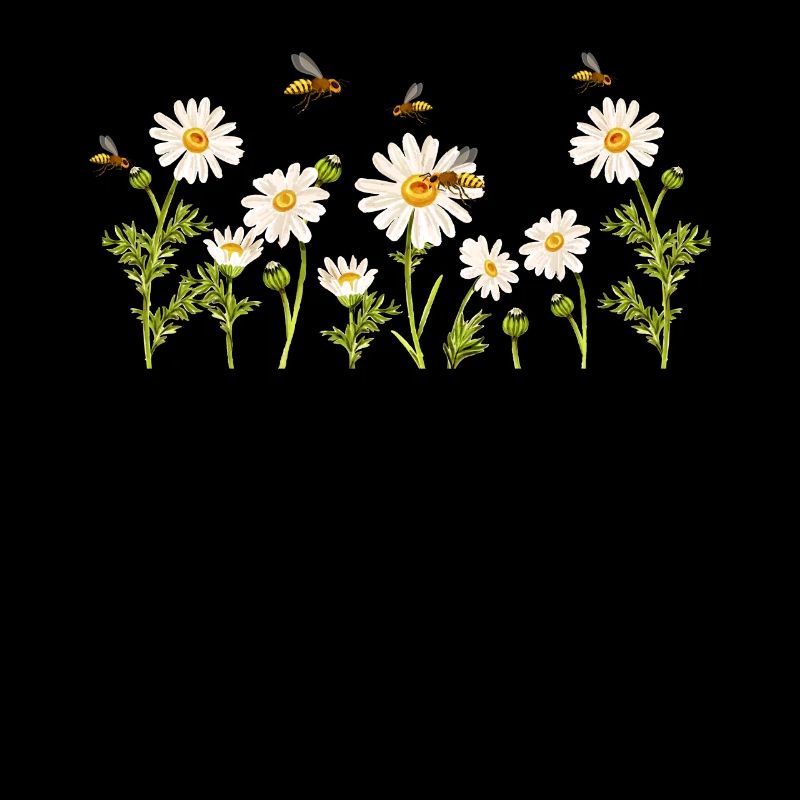 Marguerites Daisy Summer Daisies Jardin de fleurs