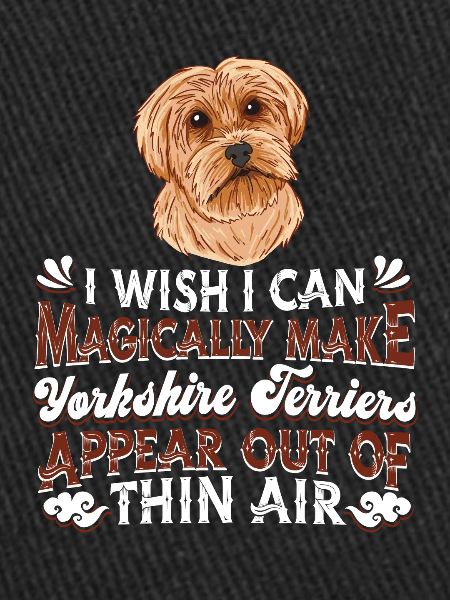 Yorkshire Terrier Dog
