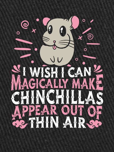Chinchilla