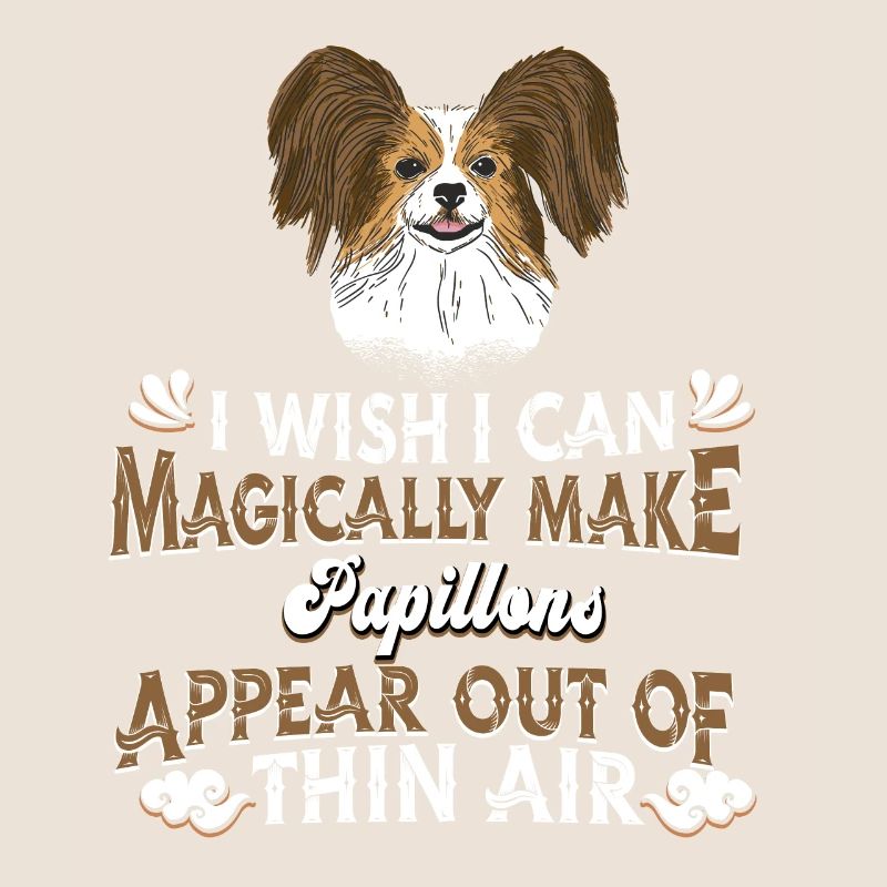 Papillon Chien