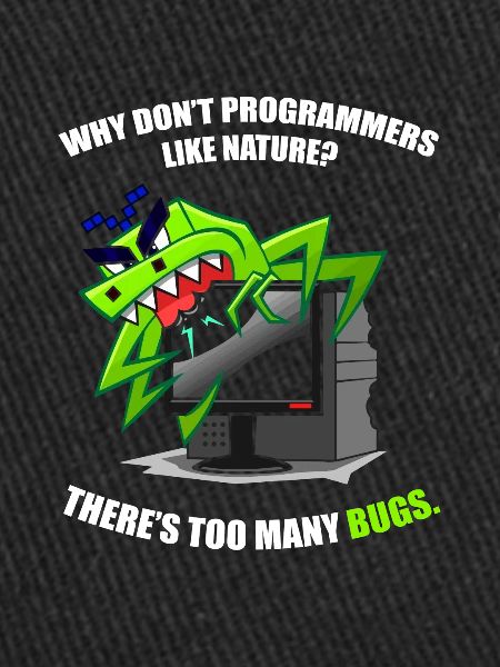 Programmer Coder Software Developer