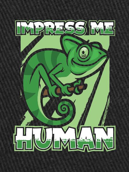 Chameleon Chamäleon